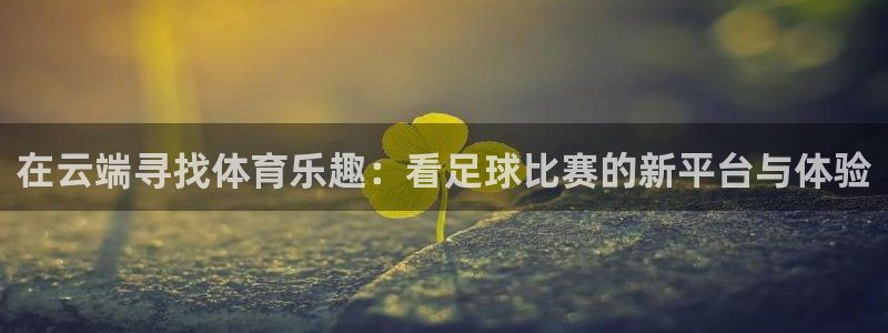 在云端寻找体育乐趣：看足球比赛的新平台与体验