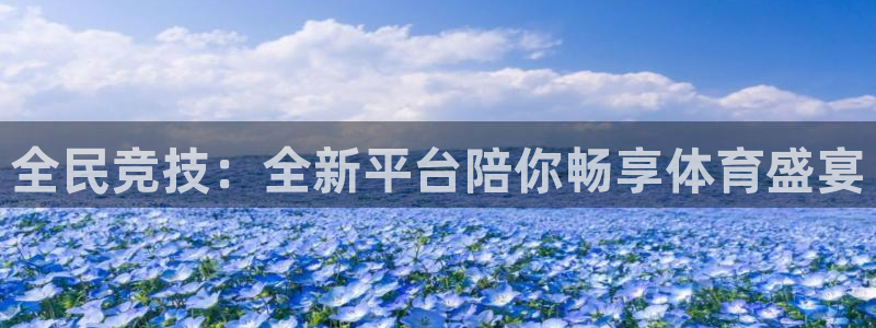 全民竞技：全新平台陪你畅享体育盛宴